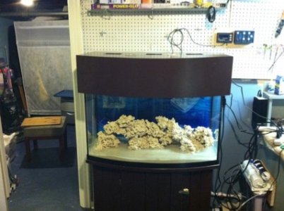 ImageUploadedByTapatalk1302291744.234306.jpg ImageUploadedByTapatalk1302291744.234306.jpg