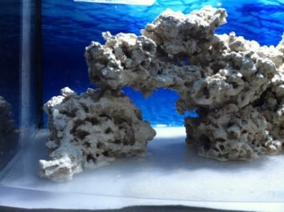 ImageUploadedByTapatalk1302291790.690189.jpg ImageUploadedByTapatalk1302291790.690189.jpg