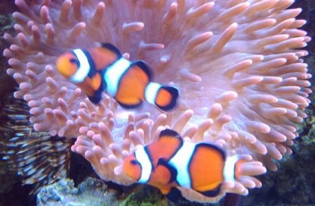 2011-03-20 18.44.08.jpg