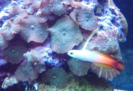 2011-03-20 18.42.47.jpg