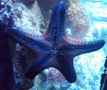 2011-03-20 18.42.18.jpg