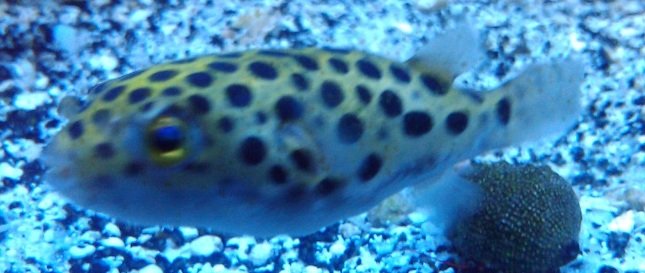 2011-03-20 18.41.49.jpg