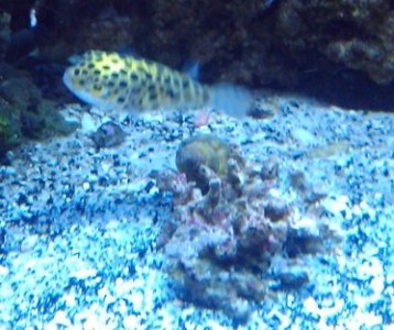 2011-03-20 18.41.25.jpg