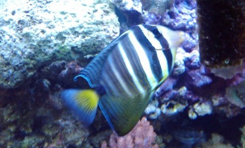 2011-03-20 18.41.11.jpg