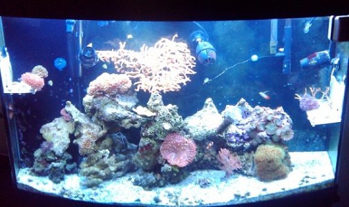 2011-03-20 18.40.43.jpg