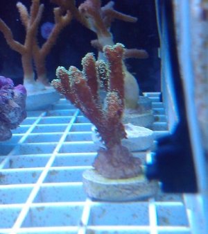 2011-03-20 18.40.25.jpg