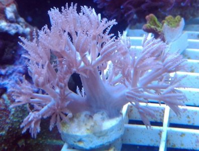 2011-03-20 18.40.15.jpg