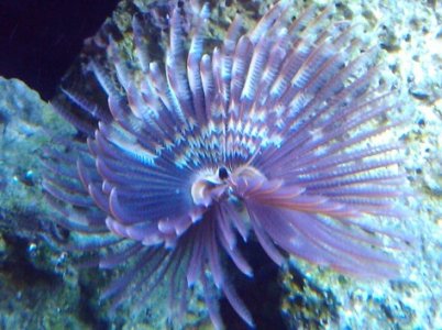 2011-03-20 18.40.02.jpg