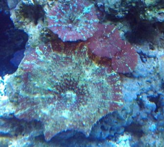 2011-03-20 18.39.48.jpg