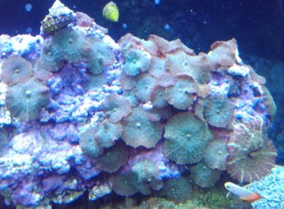 2011-03-20 18.39.34.jpg