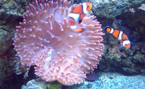 2011-03-20 18.39.20.jpg