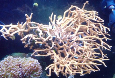 2011-03-20 18.38.21.jpg