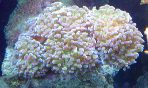 2011-03-20 18.38.05.jpg