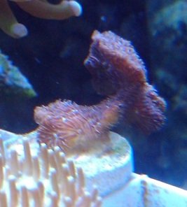 2011-03-20 18.37.50.jpg