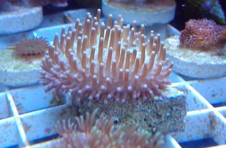 2011-03-20 18.37.32.jpg