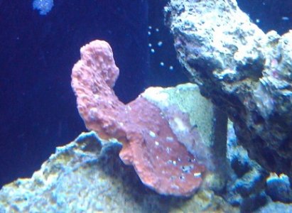 2011-03-20 18.37.22.jpg