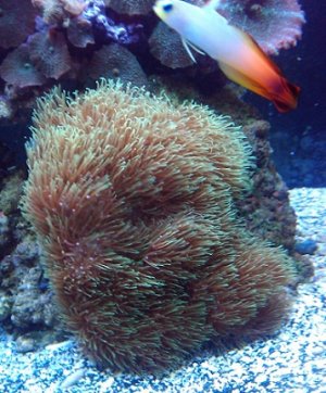 2011-03-20 18.36.57.jpg