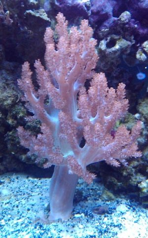 2011-03-20 18.36.47.jpg