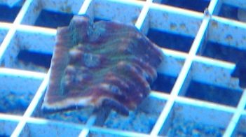 2011-03-20 18.36.24.jpg