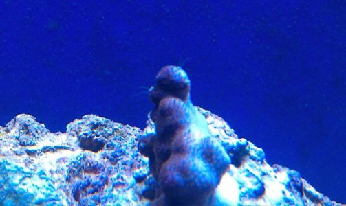 IMAG0089.jpg