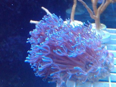 2011-03-20 18.36.06.jpg