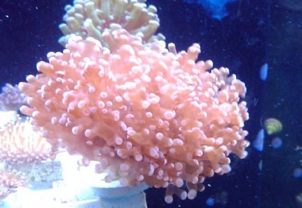 2011-03-20 18.35.54.jpg