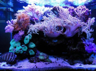 DSC00316(Glare Edit).jpg