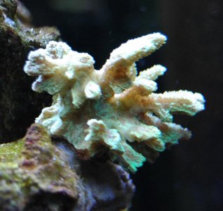 DSC_6896.jpg