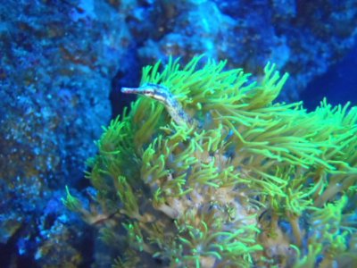 P3220126.JPG