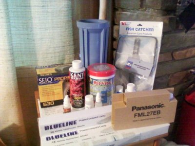 Box of Crap Items.jpg