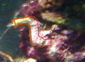 photo33a.jpg