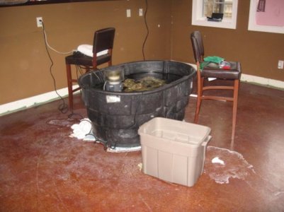 aftermath 2-5-10.jpg