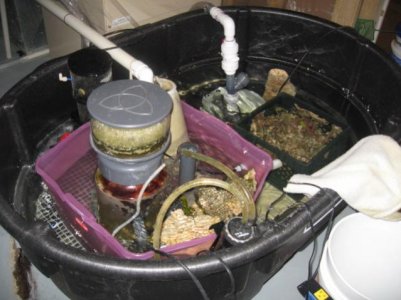 sump-ref 4-10-10.jpg