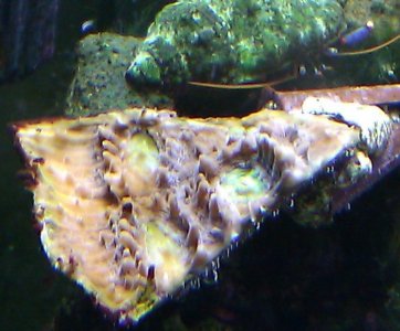 IMAG0111.jpg