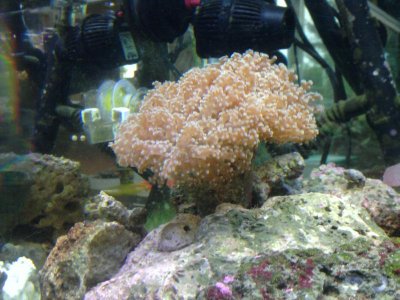 2011-04-12 18.50.50.jpg