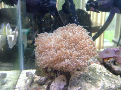 2011-04-12 18.50.42.jpg