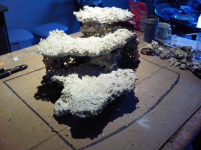 IMG00084-20110325-1913.jpg