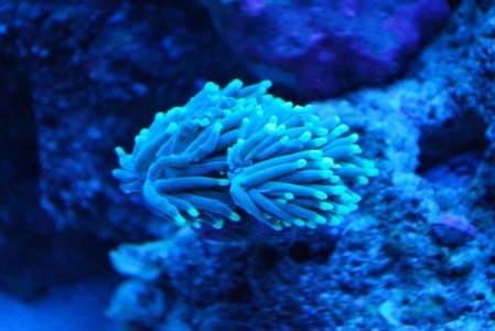 DSC_0010.jpg