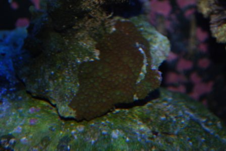 DSC_0018.JPG