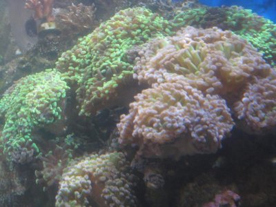 IMG_3618.jpg