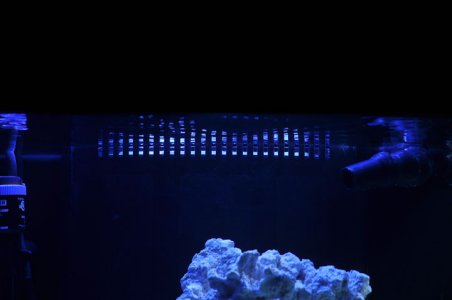 90-not-quite-level-arrrghhhh-apr-2011-2.jpg