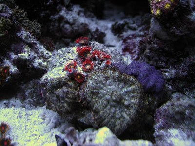 IMG_8765.JPG