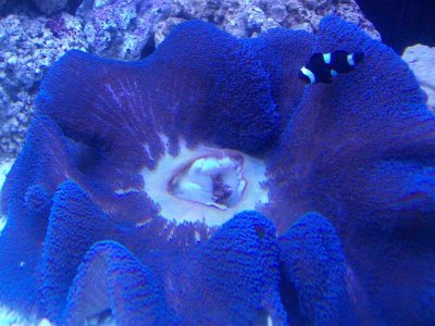 aquarium 4-11-11 001.jpg