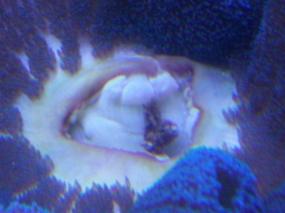 aquarium 4-11-11 002.jpg