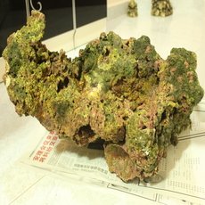 rsz_2img_0288.jpg