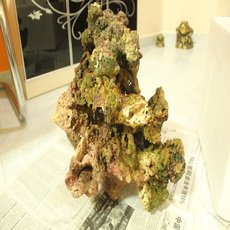 rsz_img_0287.jpg