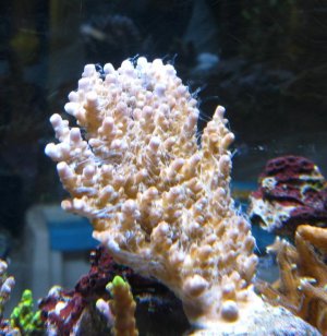 IMG_4548.jpg