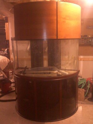 20110128191631.jpg