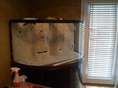 20110309120555.jpg
