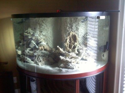 20110329081013.jpg